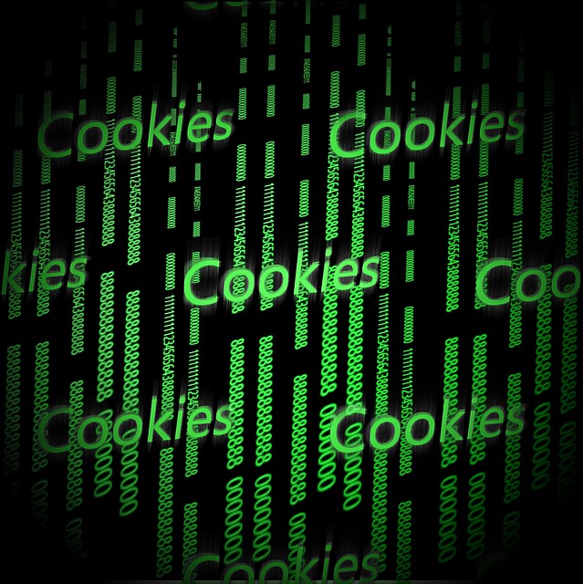 Política de Cookies www.info.torrecristina.com